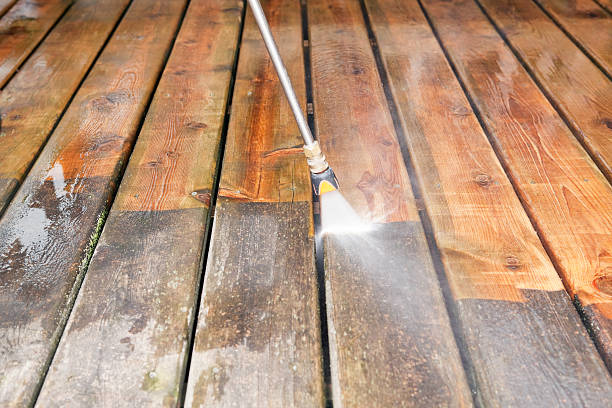 Animal Enclosure Cleaning in Apopka, FL