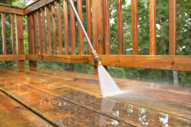 Best Pool Deck Cleaning  in Apopka, FL