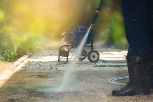 Best Fence Cleaning  in Apopka, FL